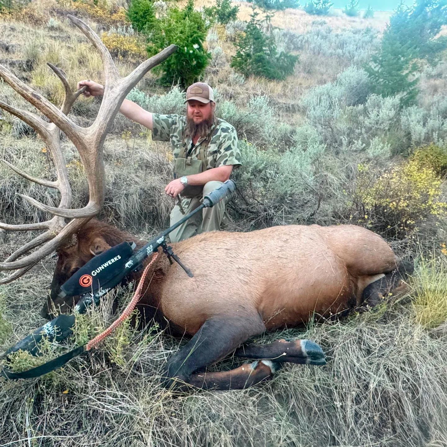 Gunwerks customer with a large elk in a wooded area