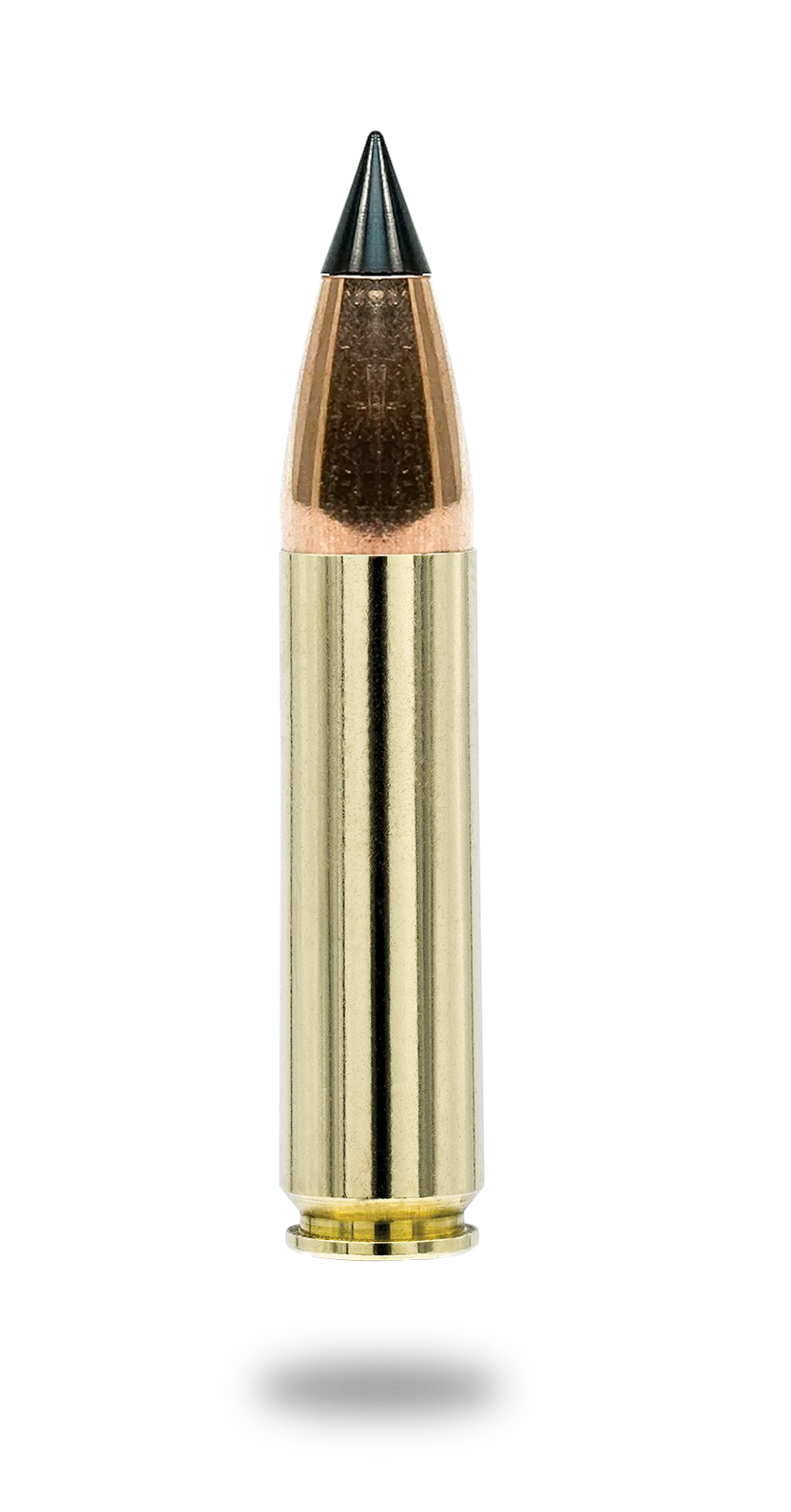 Gunwerks .450 Bushmaster Ammo